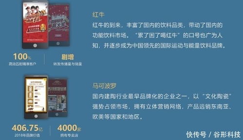 谷形科技 專業Java定制開發與營銷推廣服務，助力企業數字化升級
