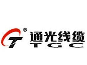 通光線纜子公司2220萬元布局印度 合資公司設立的商機與投資指南